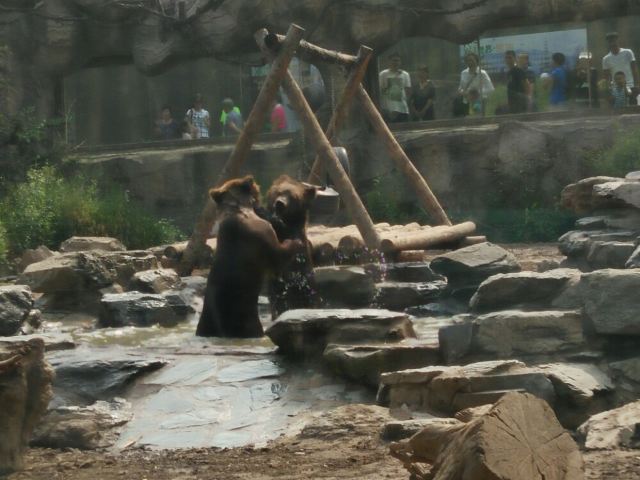 Beijing Zoo