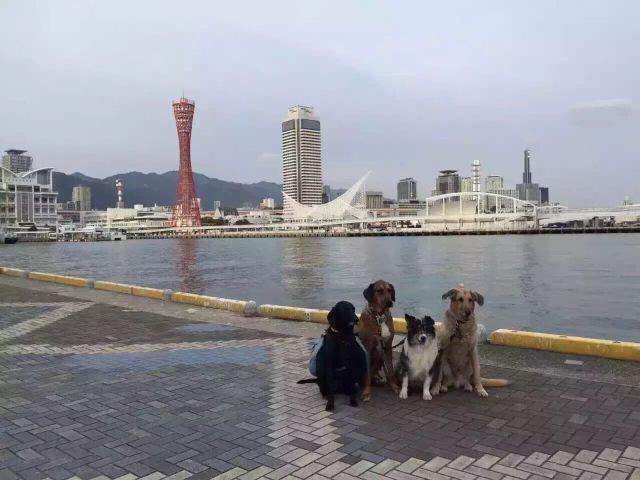 Kobe Harborland