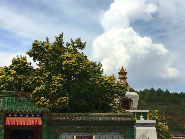 Kumbum Monastery