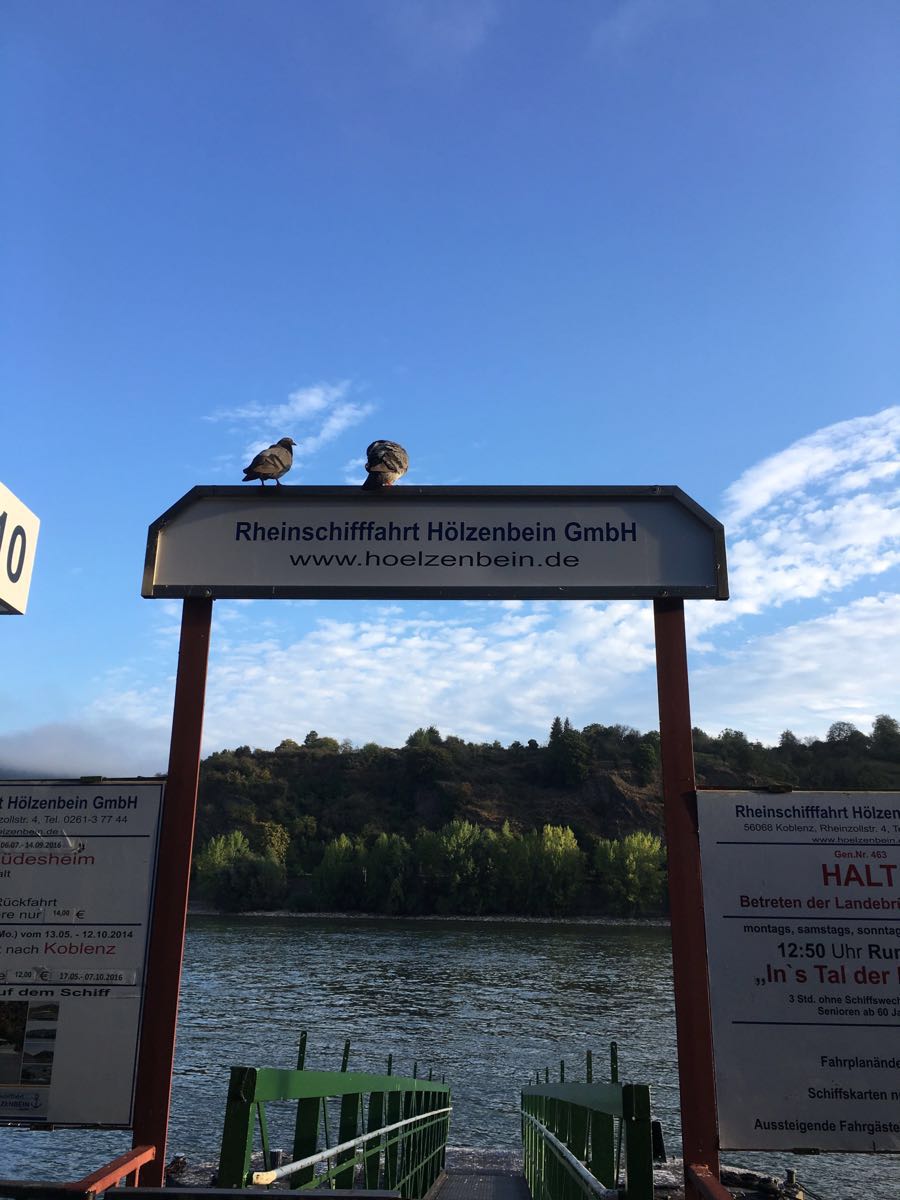 Hirzenach Travel Guidebook Must Visit Attractions In Boppard