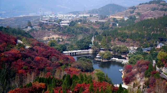 홍엽곡