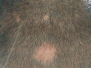 中山树木园攻略,树木园门票\/游玩攻略\/地址\/图片