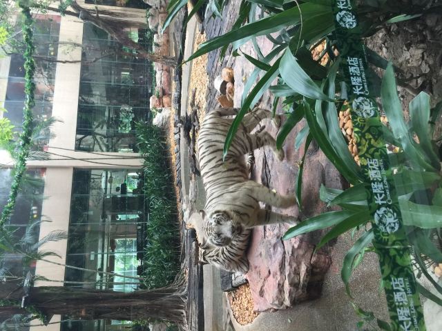 Guangzhou Changlong Hotel Bai Hu Buffet Restaurant