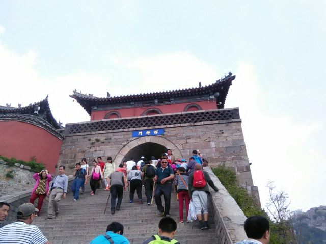18판