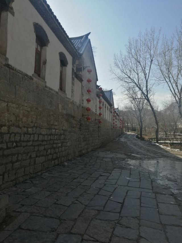 주자위