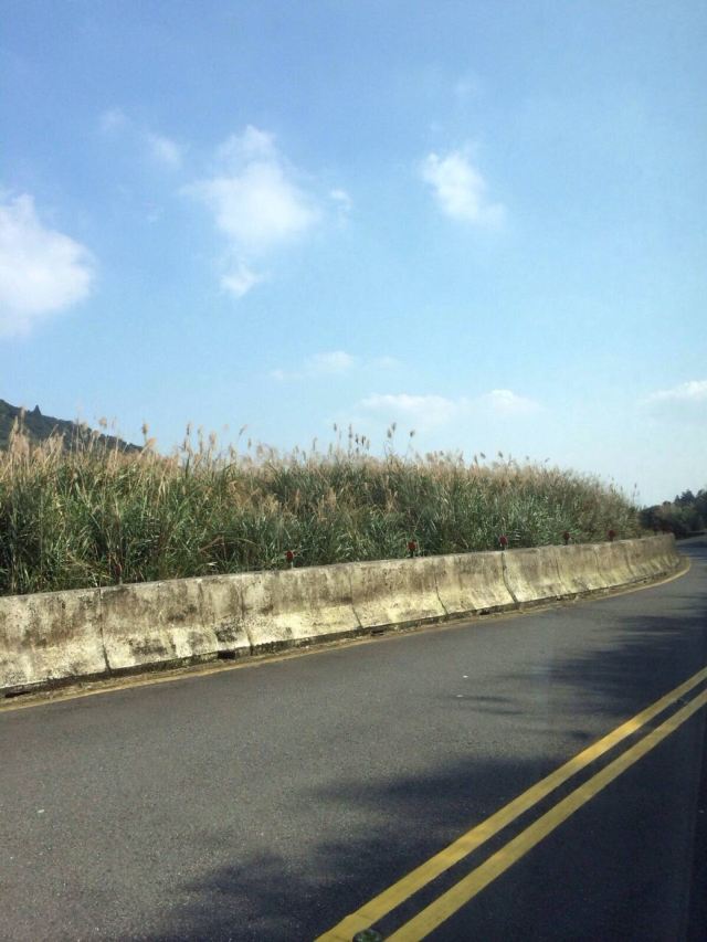 陽明山國家公園
