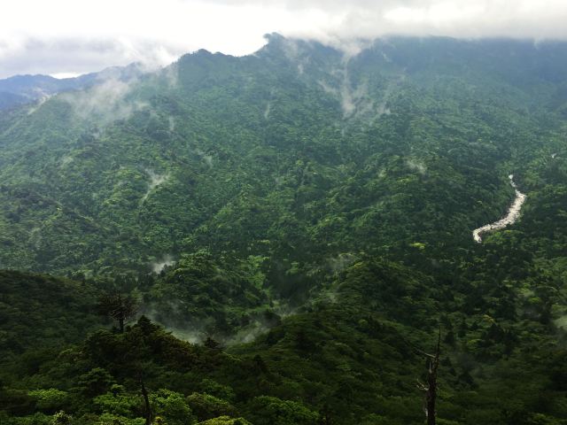 白谷雲水峽