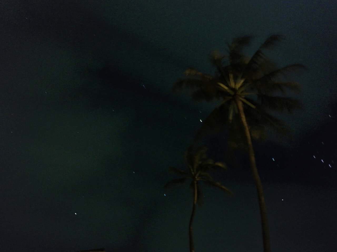 棕榈树下仰望漫天的繁星