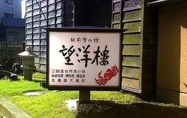 望洋楼