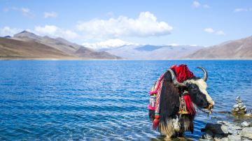 西藏_ 羊湖（6）