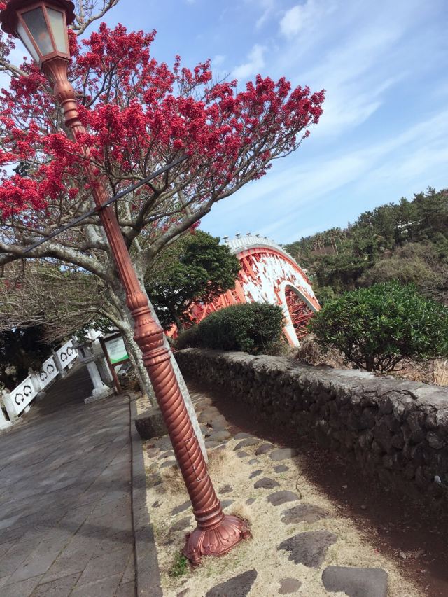 천지연 폭포