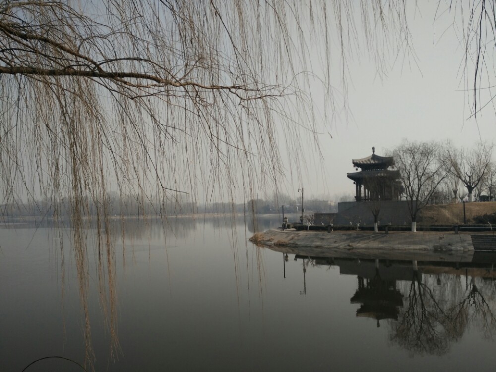 北京大运河森林公园