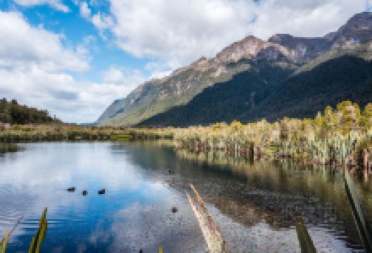 镜湖景点图片