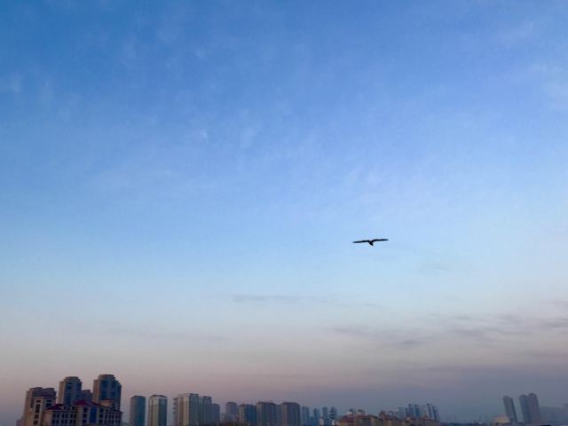 진사탄