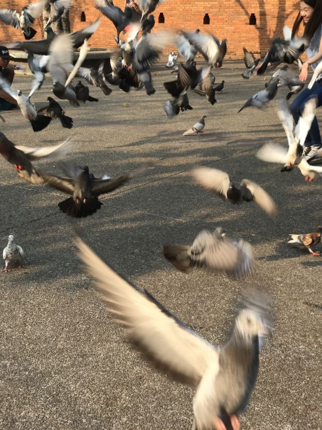 타패게이트