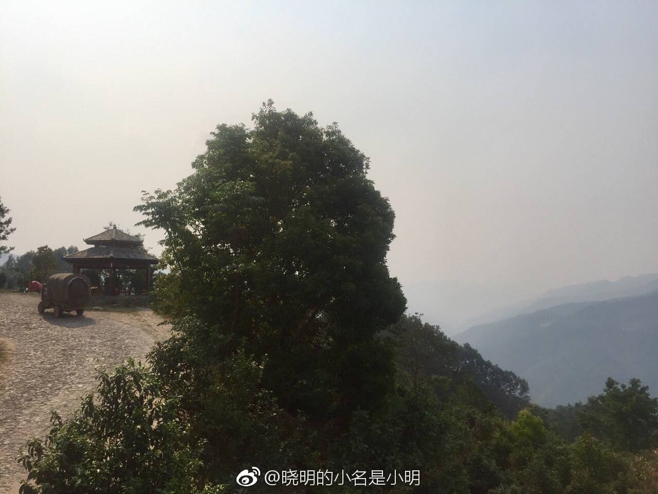 一路向南，自驾游景迈山寻茶之旅