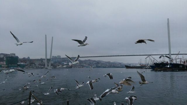 금각만