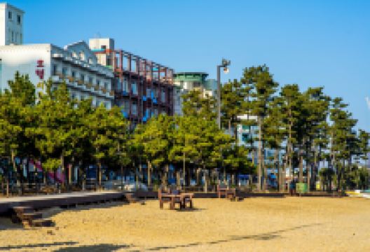 江陵市旅游图片-江陵市一日游