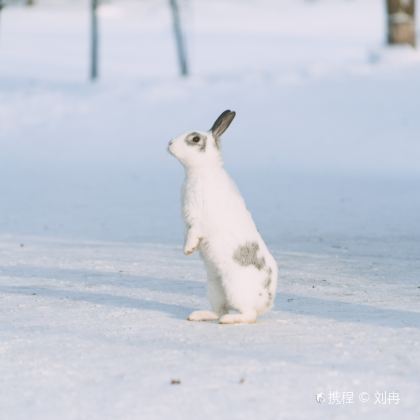 俄罗斯莫斯科+摩尔曼斯克8日7晚拼小团