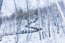 龙江第一湾风景区-漠河-doris圈圈