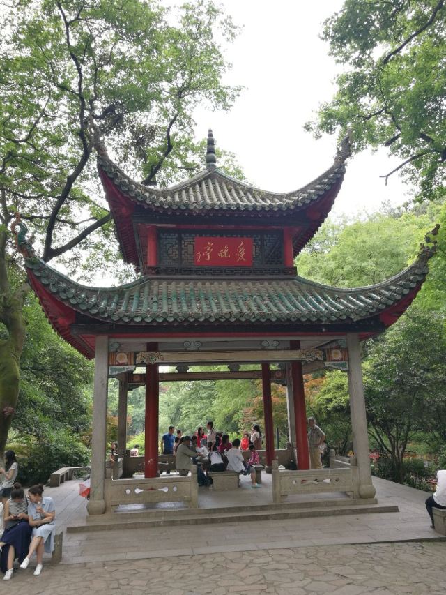 애완정