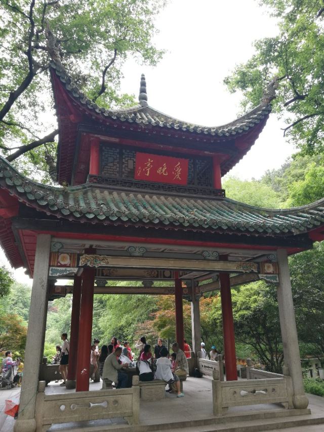 애완정
