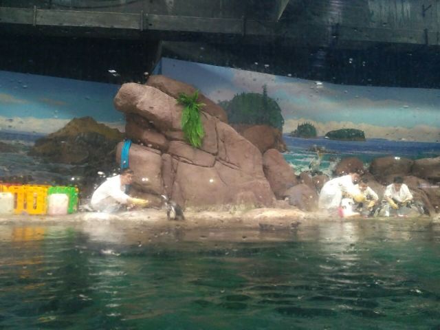 Qujiang Polar Ocean Park