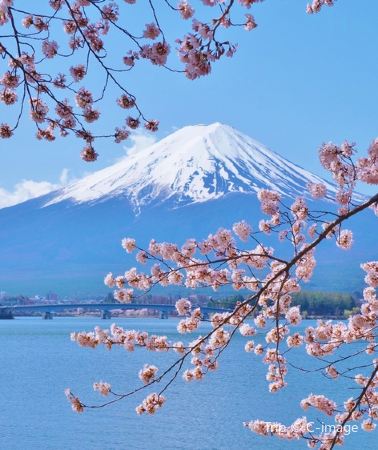 4D3N • Exquisite Short Break Collection-Tokyo and Mt. Fuji