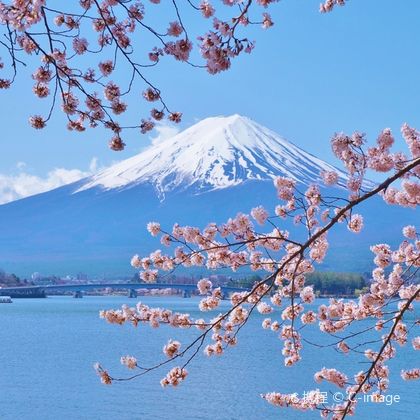 日本富士山五合目+河口湖+山中湖 花之都公园+忍野八海+富士急乐园一日游