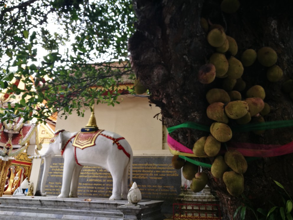 双龙寺的传说-白象,金塔，舍利