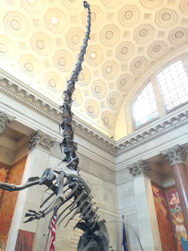 American Museum of Natural History