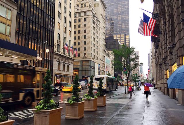 Fifth Avenue