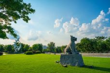 滨湖公园-徐州-doris圈圈