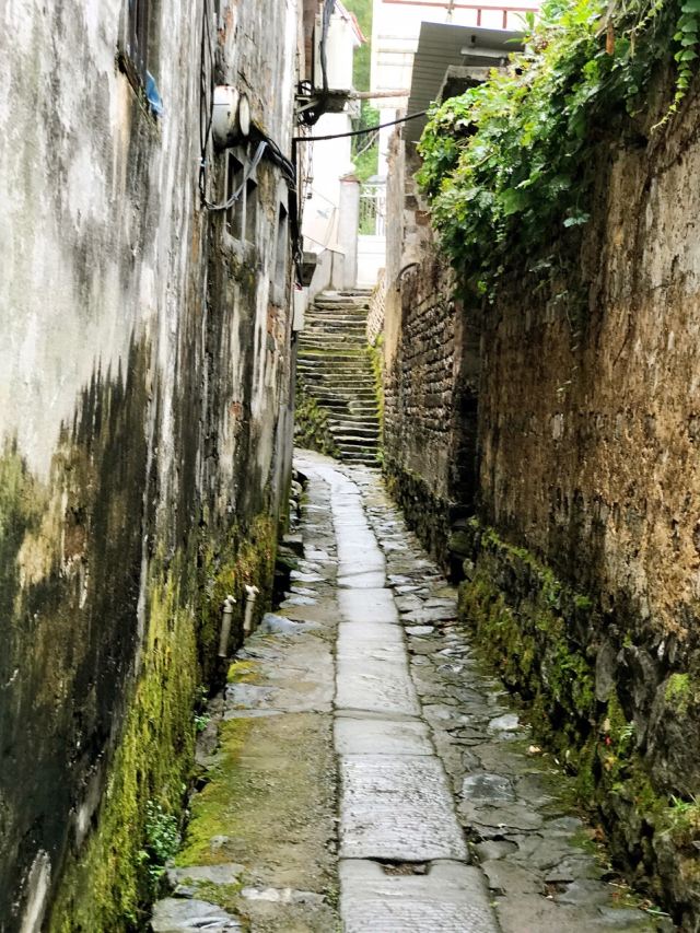 芹川村
