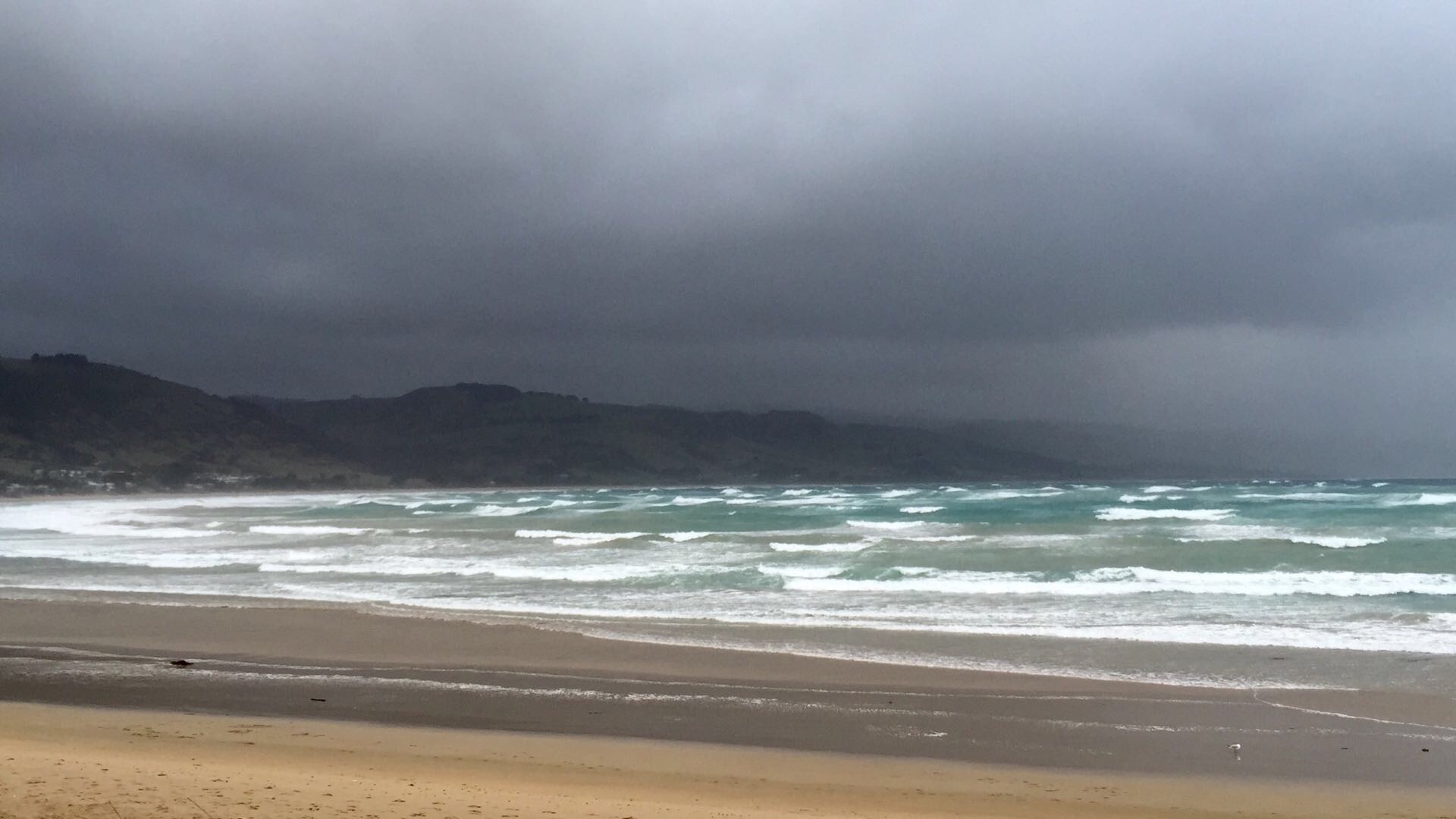 澳大利亚十日 Day 4 -  Morning of Apollo Bay