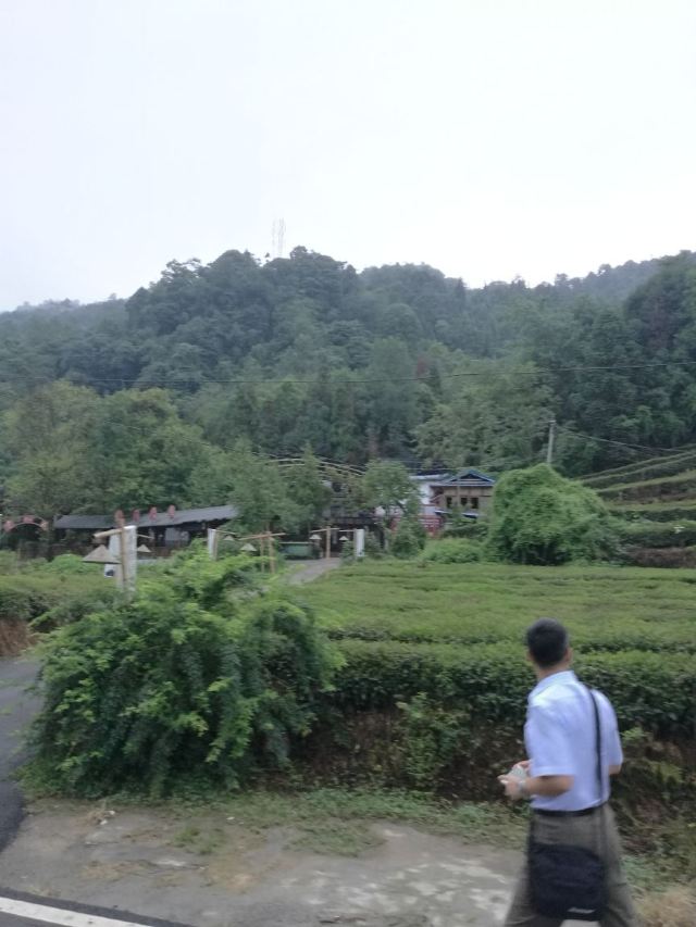 몽정산