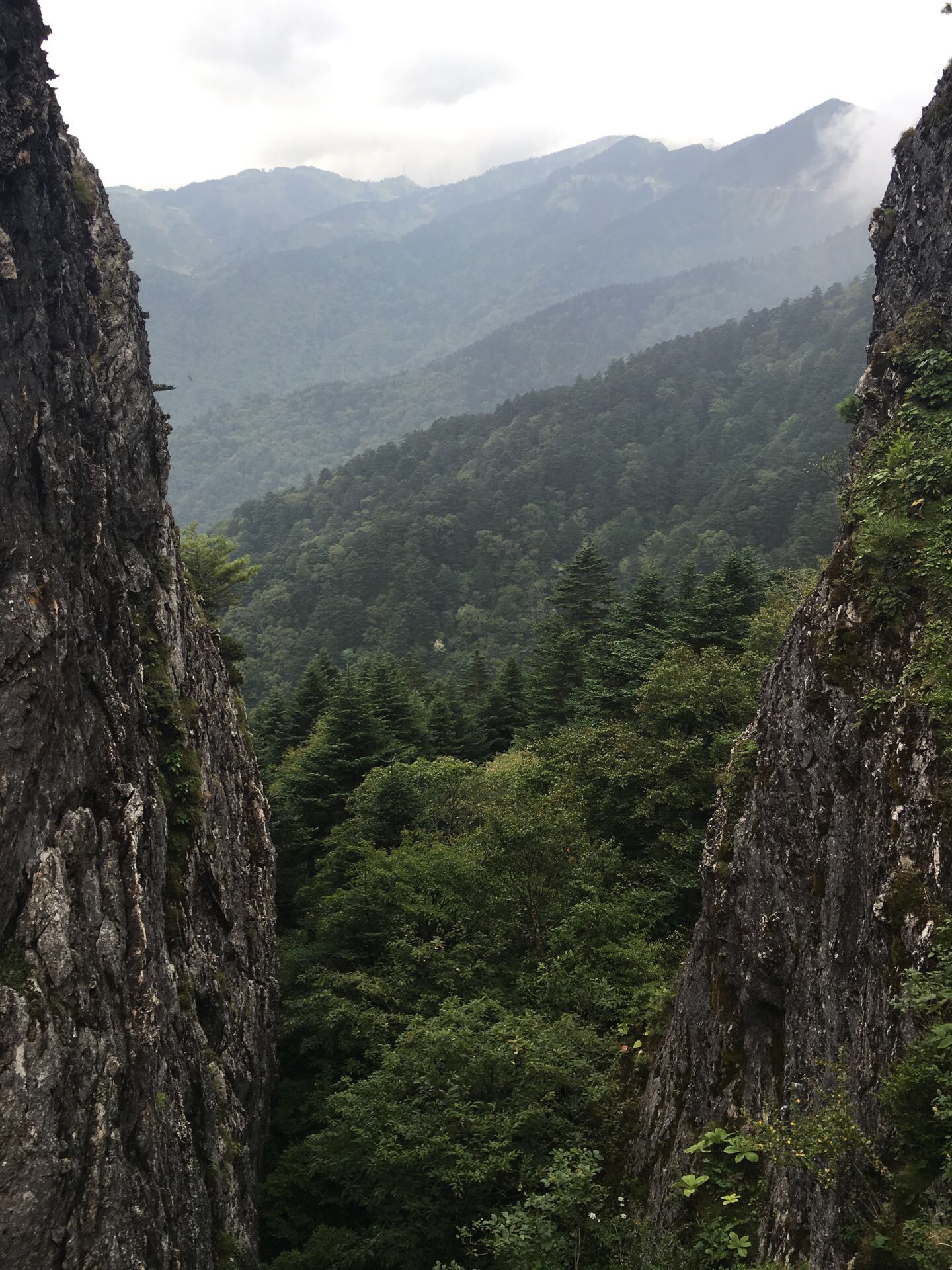 我愿陪你慢慢长大之神农架篇