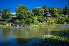 愚园-南京-doris圈圈