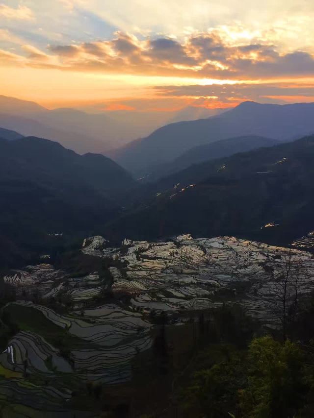 원양제전