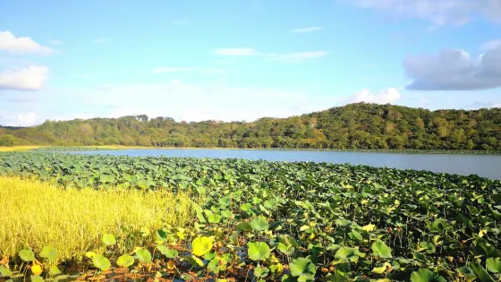 琿春防川景區-蓮花湖公園