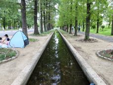 花博纪念公园鹤见绿地-守口市-doris圈圈