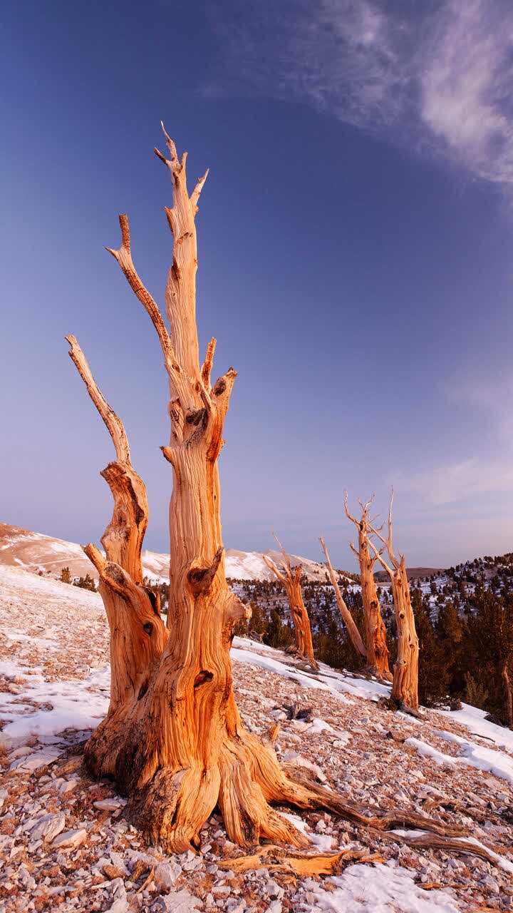 阿香米线(平湖大润发店)餐厅图片