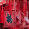 真功夫(鹏达摩尔城店)