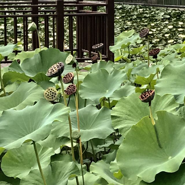세기공원
