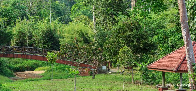 Penang Botanical Garden Travel Guidebook Must Visit Attractions