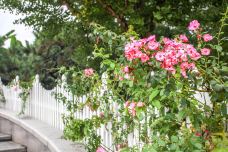 杭州西湖风景名胜区杭州花圃-杭州-doris圈圈