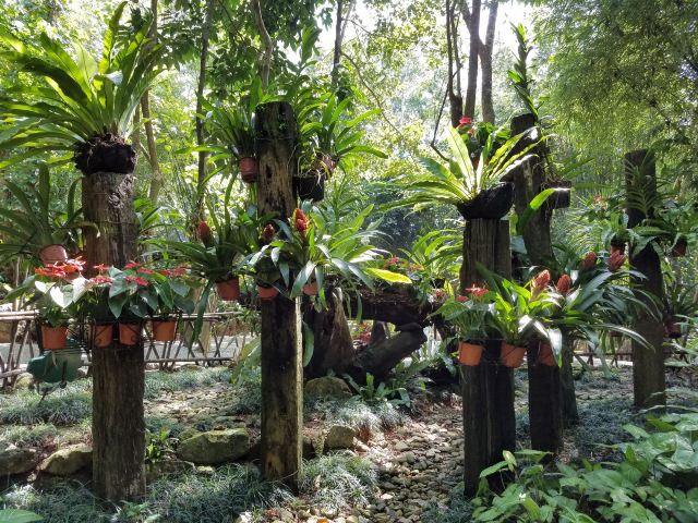 Yanoda Rainforest Cultural Tourism Zone