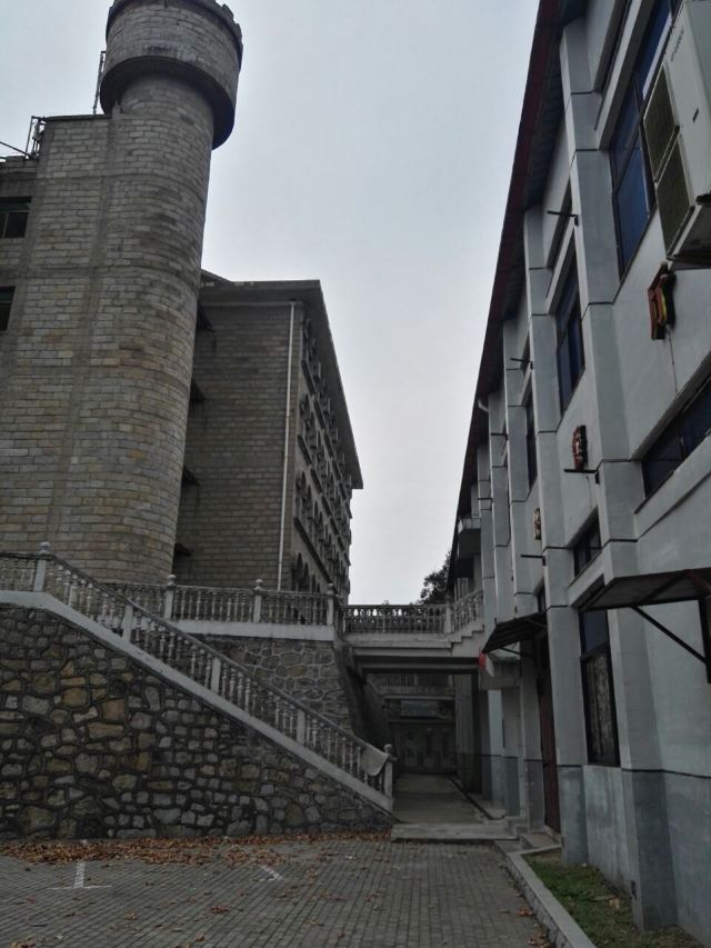 수탉 산