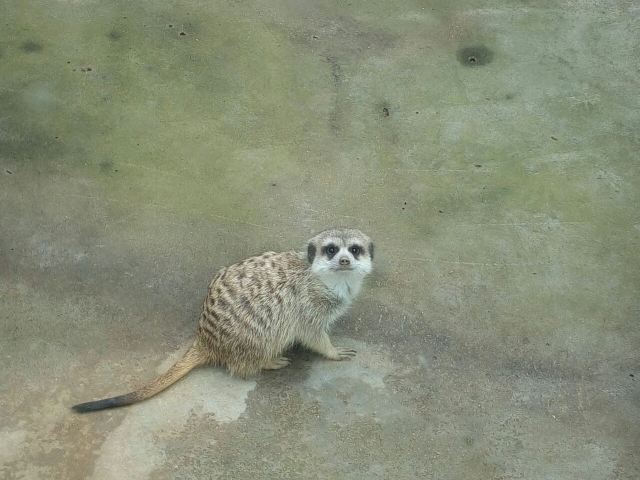 황금강 리조트
