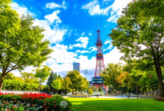 札幌电视塔景点图片